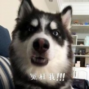 李